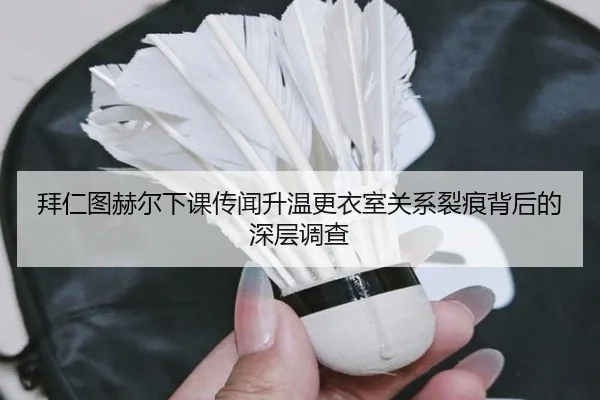 拜仁图赫尔下课传闻升温更衣室关系裂痕背后的深层调查
